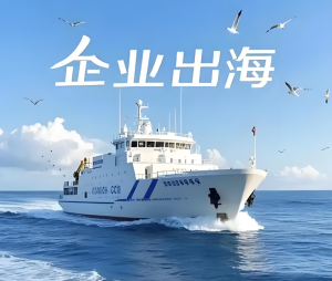 有实力的品牌出海公司甄别真正专业服务商的五大核心标准插图