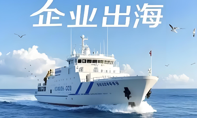 有实力的品牌出海公司甄别真正专业服务商的五大核心标准缩略图