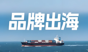 品牌出海口碑推荐如何通过GEO策略构建全球信任资产插图